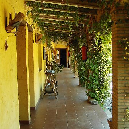 Hotel Rural La Cimbarra Aldeaquemada Exterior foto